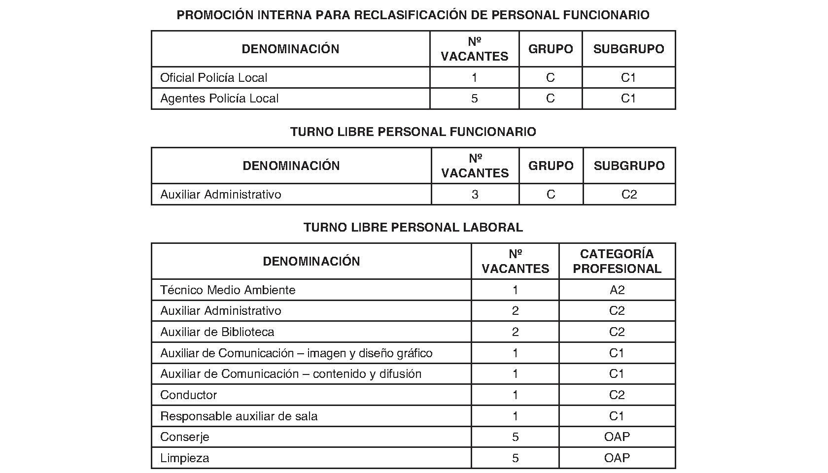 Imagen del artículo Manzanares el Real. Personal. Plantilla personal